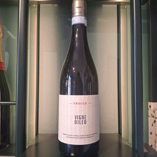 Verdicchio di Jesi - Vigne di Leo 