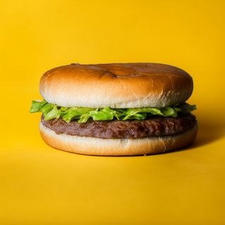 Salvaspicciolo Hamburger e Insalata