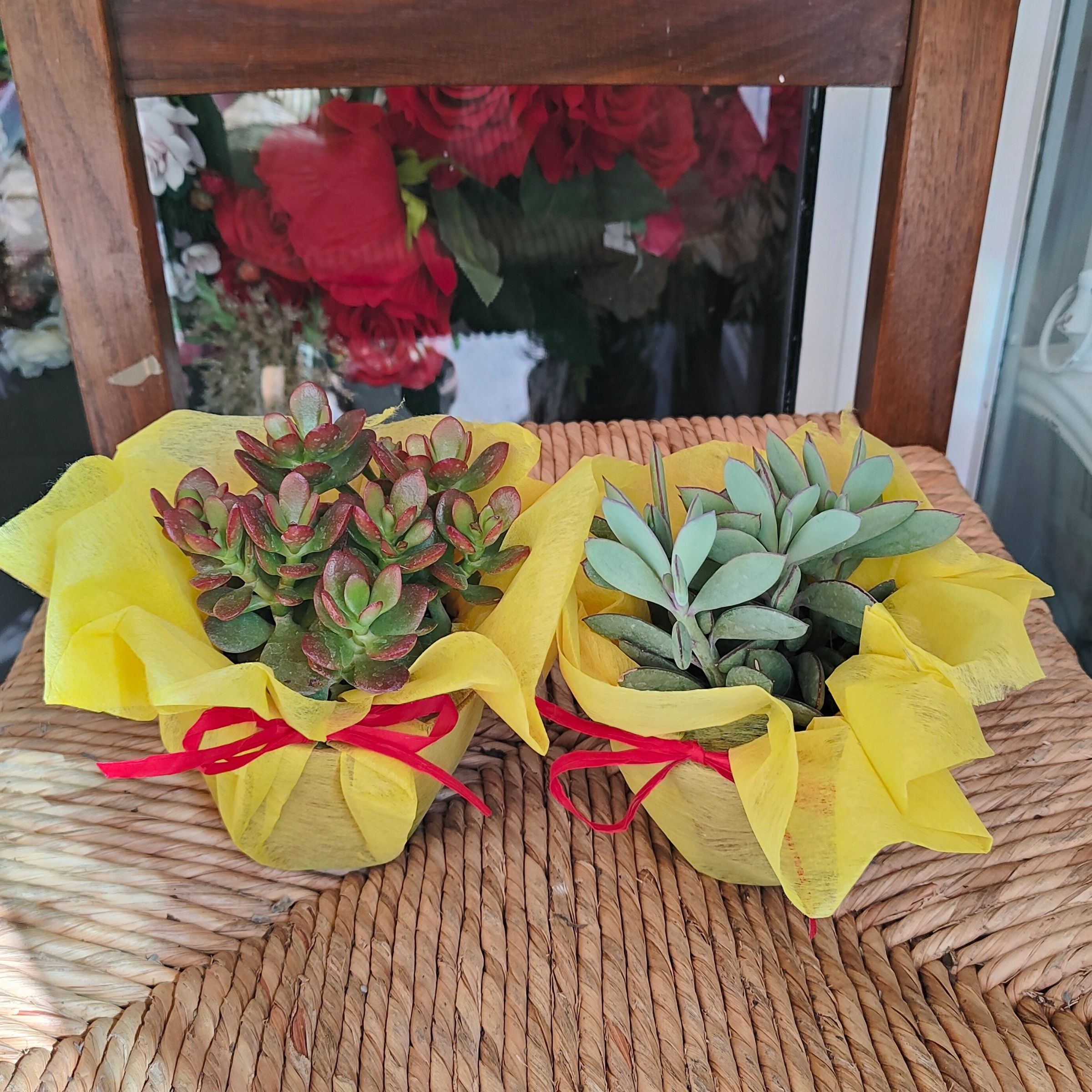 Festa dei nonni
