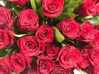 5 rose rosse (50/60cm)