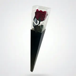 Rosa Stabilizzata con Stelo