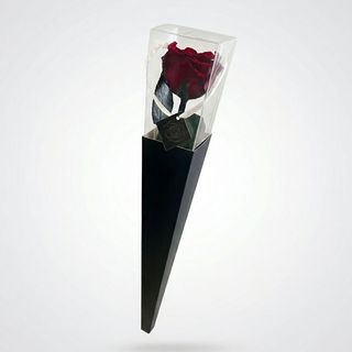 Rosa Stabilizzata con Stelo