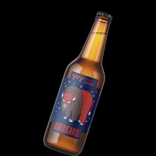 Ameican Hype - Ipa - (33cl)