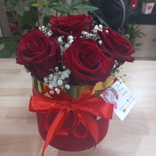 Rose's box Velvet misura M