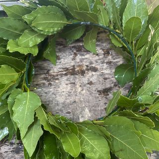 Corona con fiocco rosso/altri colore