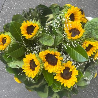 Bouquet dí girasoli