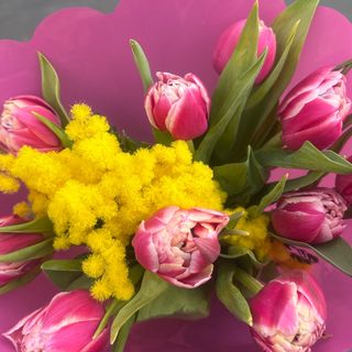 20 Tulipani con Mimusa roza