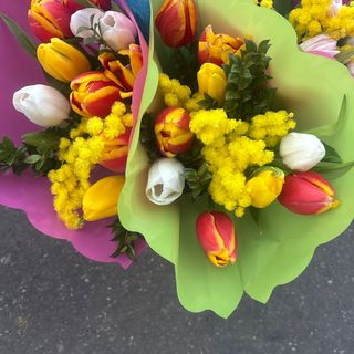 10 tulipani misti con mimusa