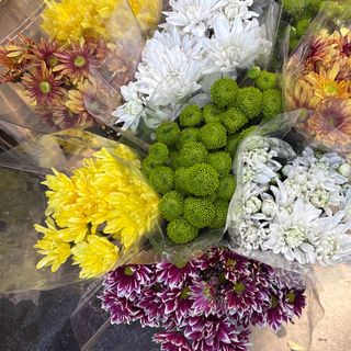 Crisantemi con margherita