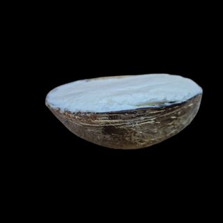 Cocco ripieno