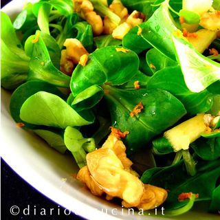 Componi la tua insalata