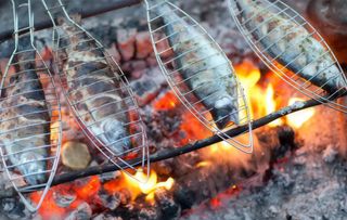 55 Pesce alla griglia 