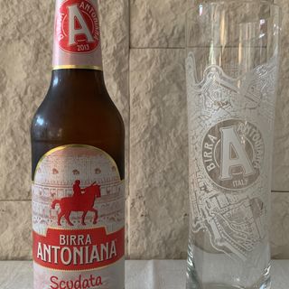 BIONDA Birra 33 cl
