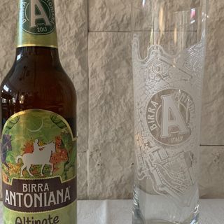 BIRRA IPL cl. 0,33