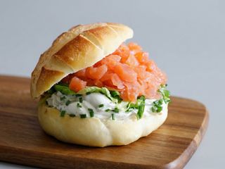 Salmoncino