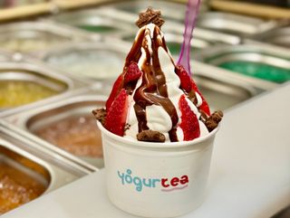 Frozen Yogurt (Large)