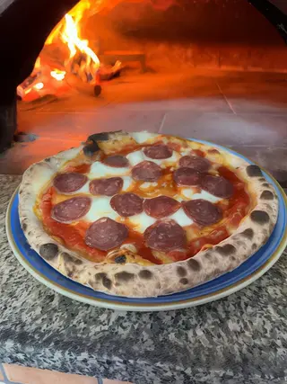 Cinghiale