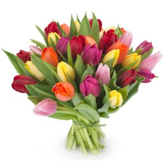 bouquet 40 tulipani