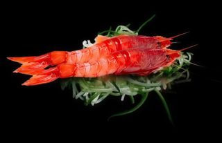 93. Gambero rosso - 2 pezzi