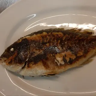 Orata alla Brace