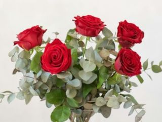 5 rose rosse gambo medio