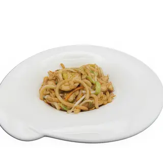 309 Spaghetti udon con pollo