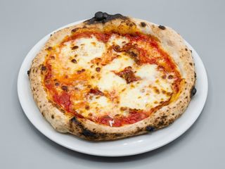 Salamino