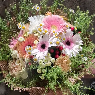 Bouquet di 7 Gerbere Colorate