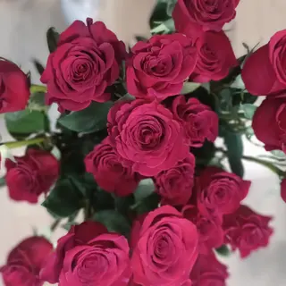 Mazzo di 9 rose rosse