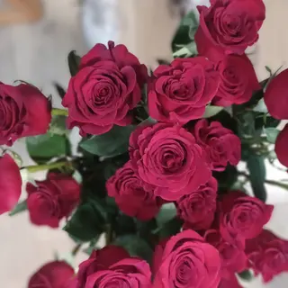 mazzo di 5 rose