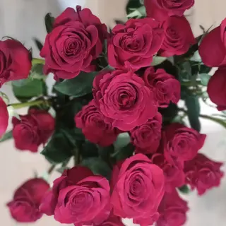 mazzo  di 3 rose