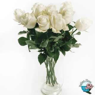 Bouquets 5 Rose Bianche