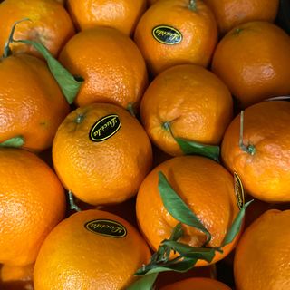 Arance a foglia non trattate al kg