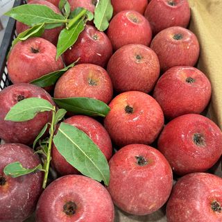 Mele annurche  prima scelta 1 kg 