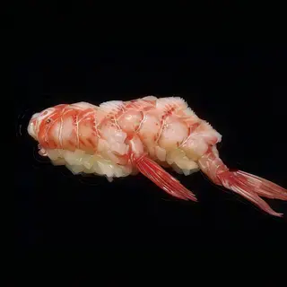 Gambero rosso - gambero crudo - raw red prawn