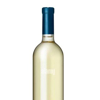 Pinot Grigio terlan