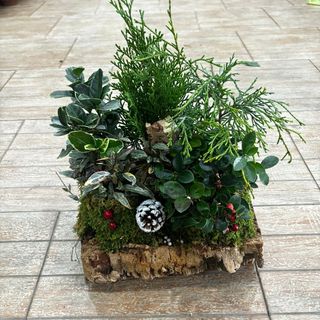 composizione in sughero