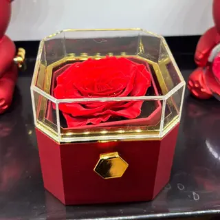 Rosa singola stabilizzata