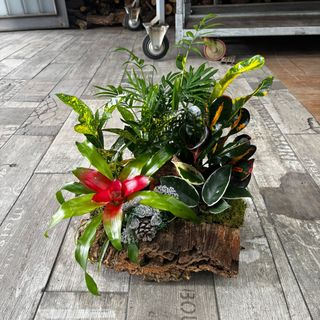 composizione in sughero medio