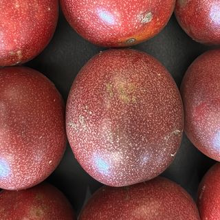 Mele annurche fioroni