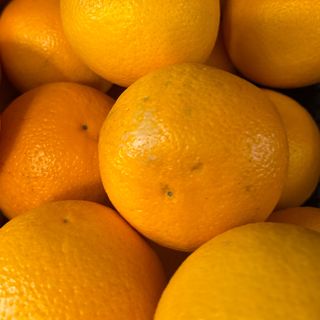 Arance x spremuta con foglie 