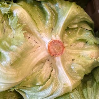 Incappucciata al pezzo 