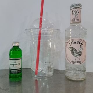 GIN TONIC TANQUERAY