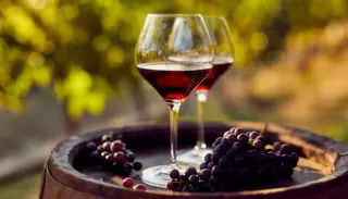 Rosso di Montalcino
