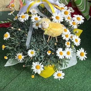 Margherita in cestino