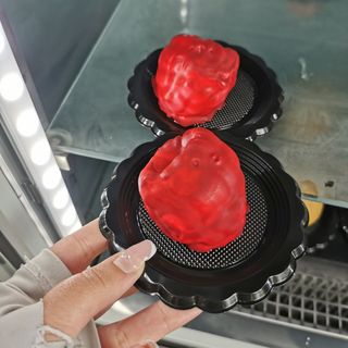frutta realistica lampone