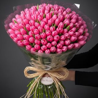 Tulipani rosa 50