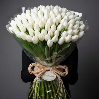 Tulipani bianchi 