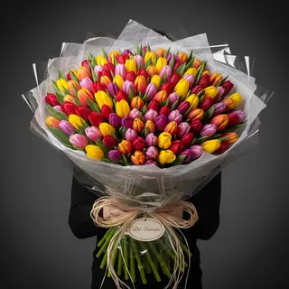 Mixed tulips  55