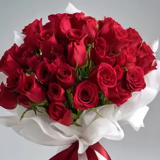 red roses 51